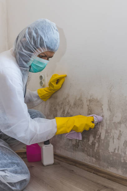 Best Indoor Air Quality Assessment  in Pinebluff, NC