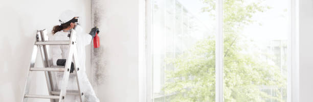 Best Comprehensive Air Testing for Mold Contaminants  in Pinebluff, NC