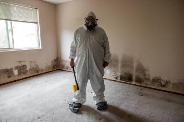 Best Mold Odor Removal Services  in Pinebluff, NC